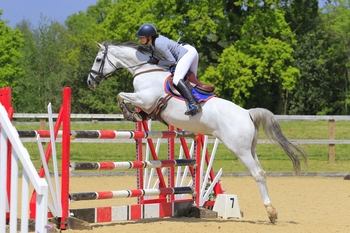 Sarah Mackmin secures victory in the NAF Five Star Summer Silver League qualifier with Comme Il Joy at Felbridge Showground